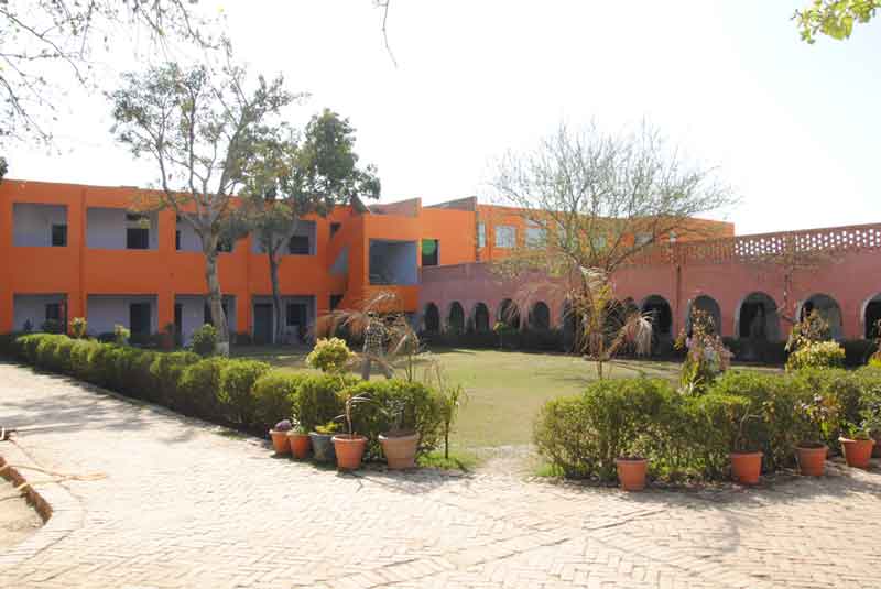 Ds Arya College Of Education, Patel Nagar, Bahadurgarh, Jhajjar